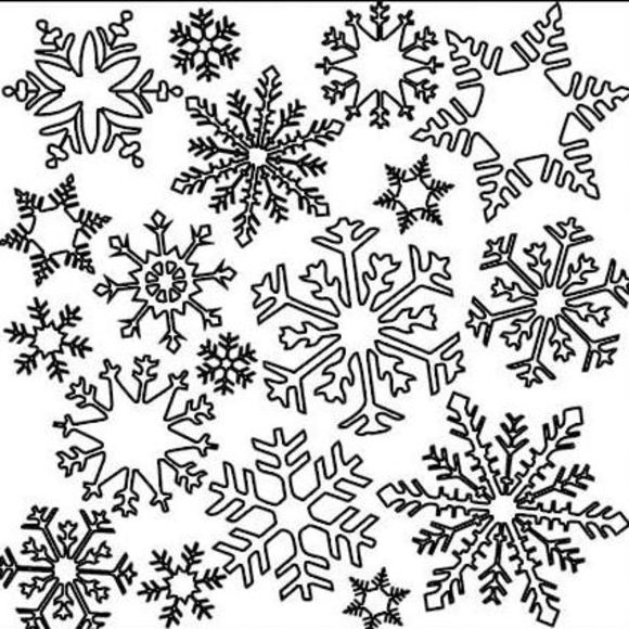 Meet your Posher, Ashley - Picture 1 of 1